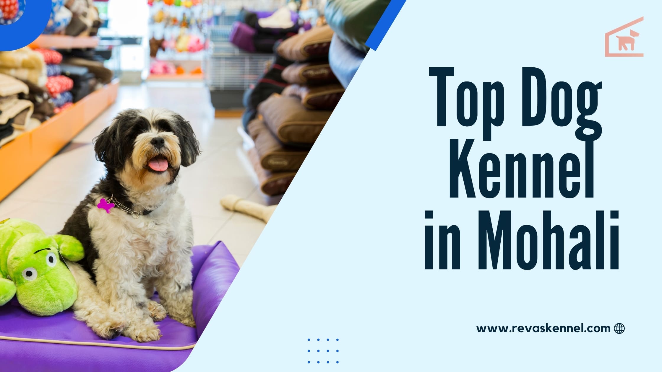 Top dog kennel In Mohali